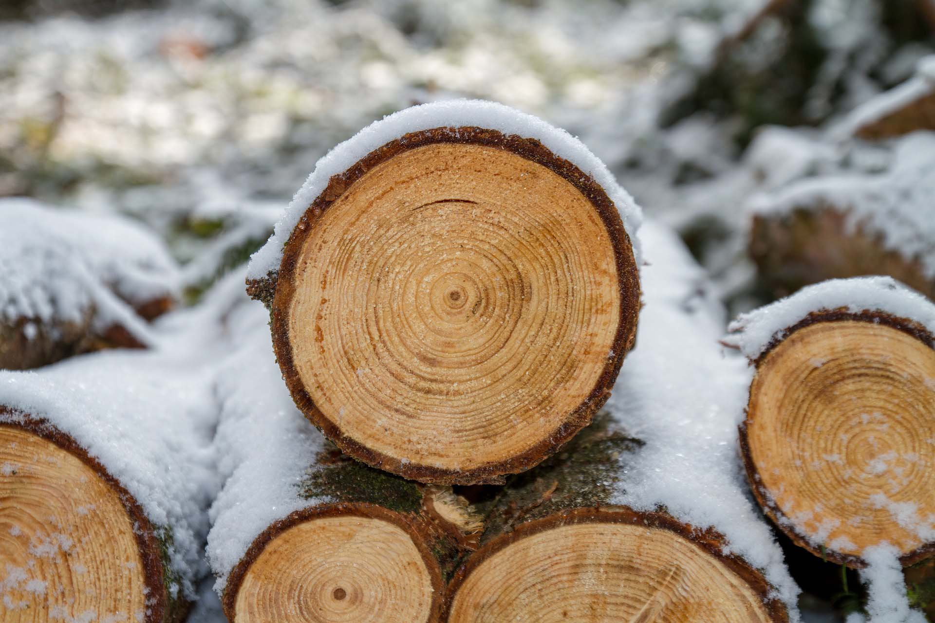 РЕМЕЋЕЊЕ ЈАВНОГ РЕДА И МИРА: Туча продаваца открила нелегалну продају дрва за огрев